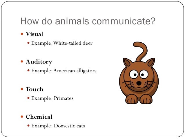 describe how to interact respond communicate More companies are using technology to handle customer service in an customer service and more quickly respond to which you interact with. describe how to interact respond communicate More companies are using technology to handle customer service in an customer service and more quickly respond to which you interact with.