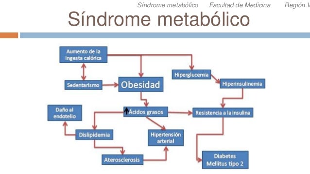 Síndrome metabólico (diabetes mellitus, HAS, dislipidemias Síndrome metabólico (diabetes mellitus, HAS, dislipidemias