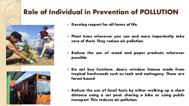 Pollution and prevention essay