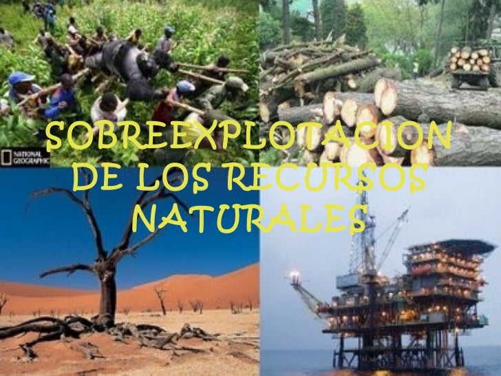 Sobreexplotacion de los recursos naturales 2