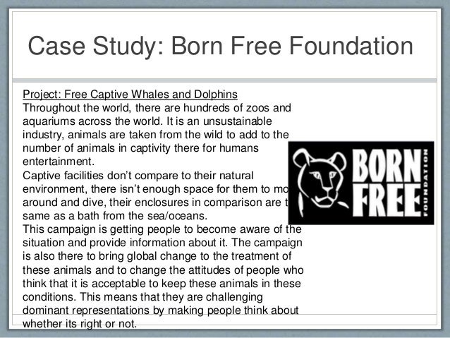 Where can I get access to Harvard Business School case