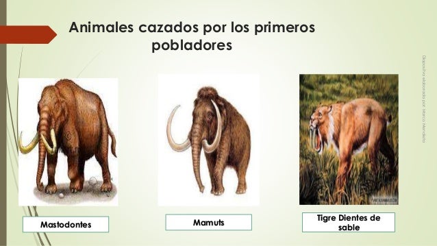 Sociales