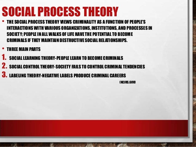 Social processing theory
