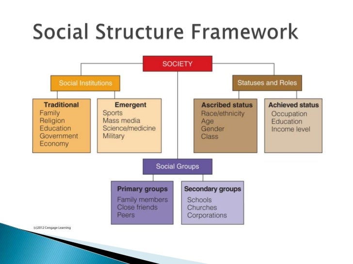 Social Structure of the Society