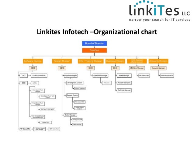 software company organization structure Software Development Organization software company organization structure Software Development Organization