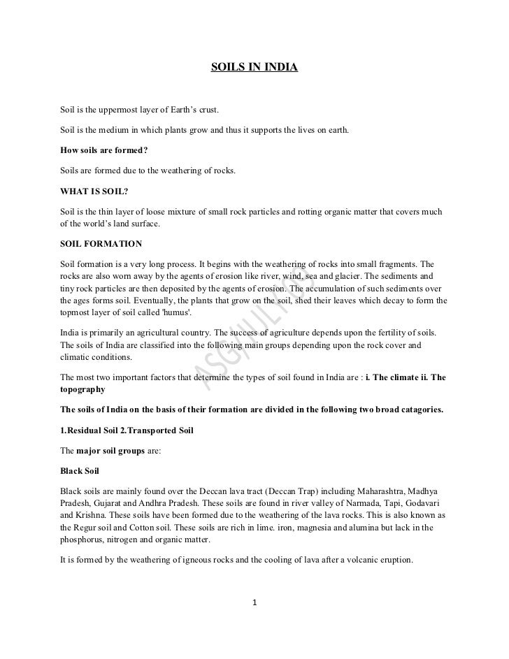 World Of Plastic Essay