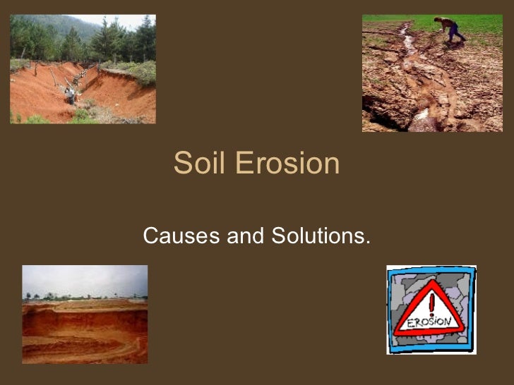 essay on effects of soil erosion