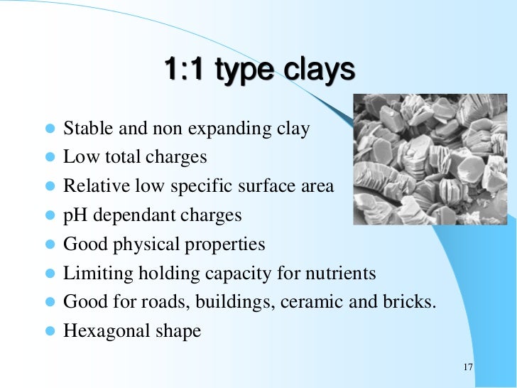 Soil colloidal chemistry