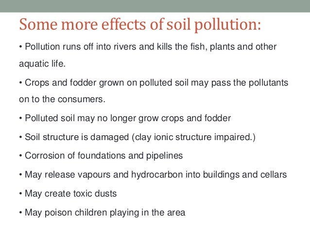 essay on importance of water
