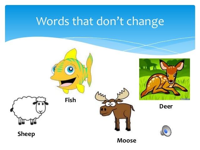 mini-grammar-lesson-irregular-nouns-plural-sokol-7-638.jpg