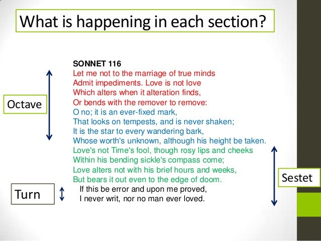 Essay On Sonnet 116