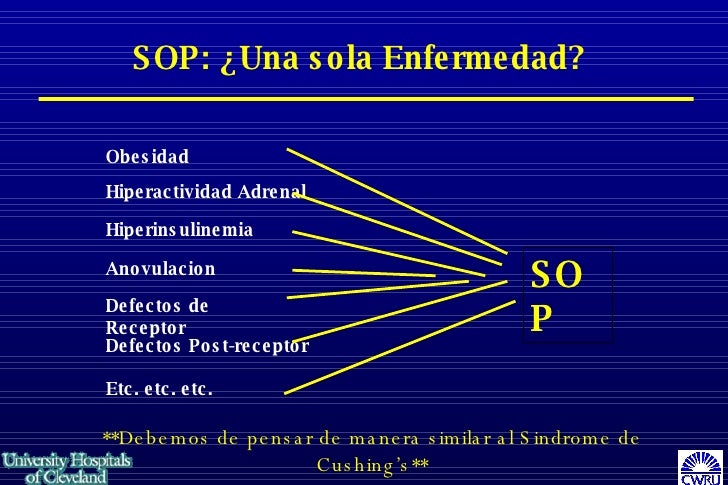 Sop Y La Insulina Sop Y La Insulina