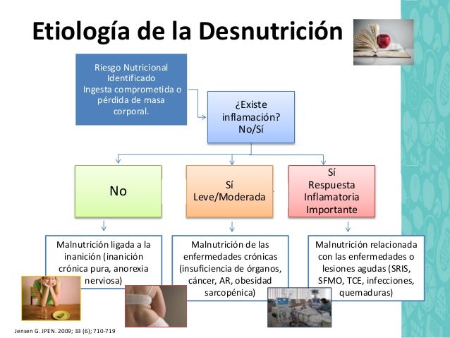 Soporte nutricional en el hospitalizado Soporte nutricional en el hospitalizado