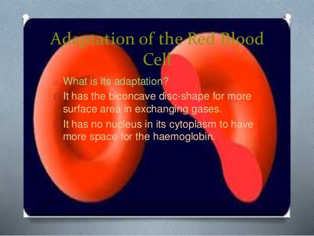 Specialized Cells, Biology