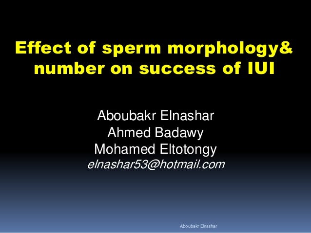First Use Sucess Stories On Clomid