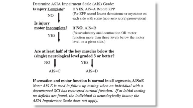 Methylprednisolone And Spinal Cord Injury