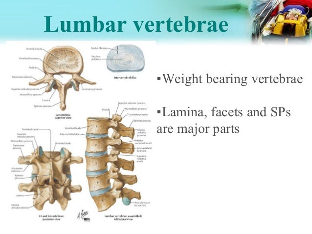 Spinal injury Dr. sundar karki