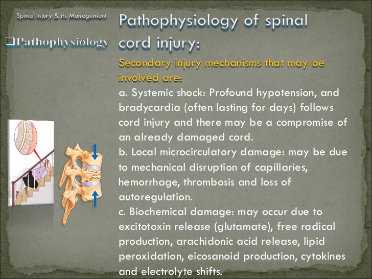 SPiNAL INJURY AND IT'S CURRENT MANAGEMENT CME