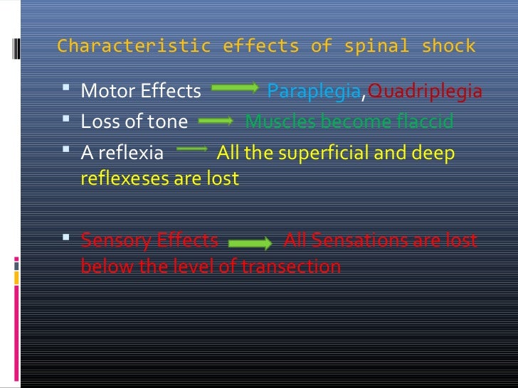 Spinal shock Physiology