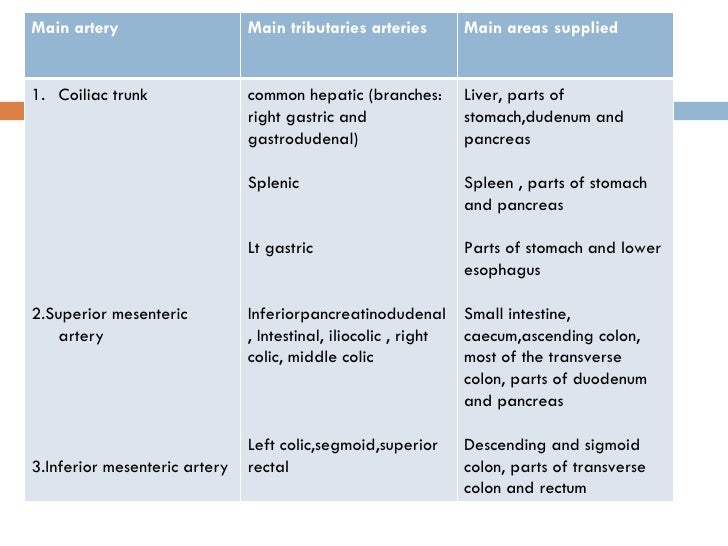 Splanchnic circulation