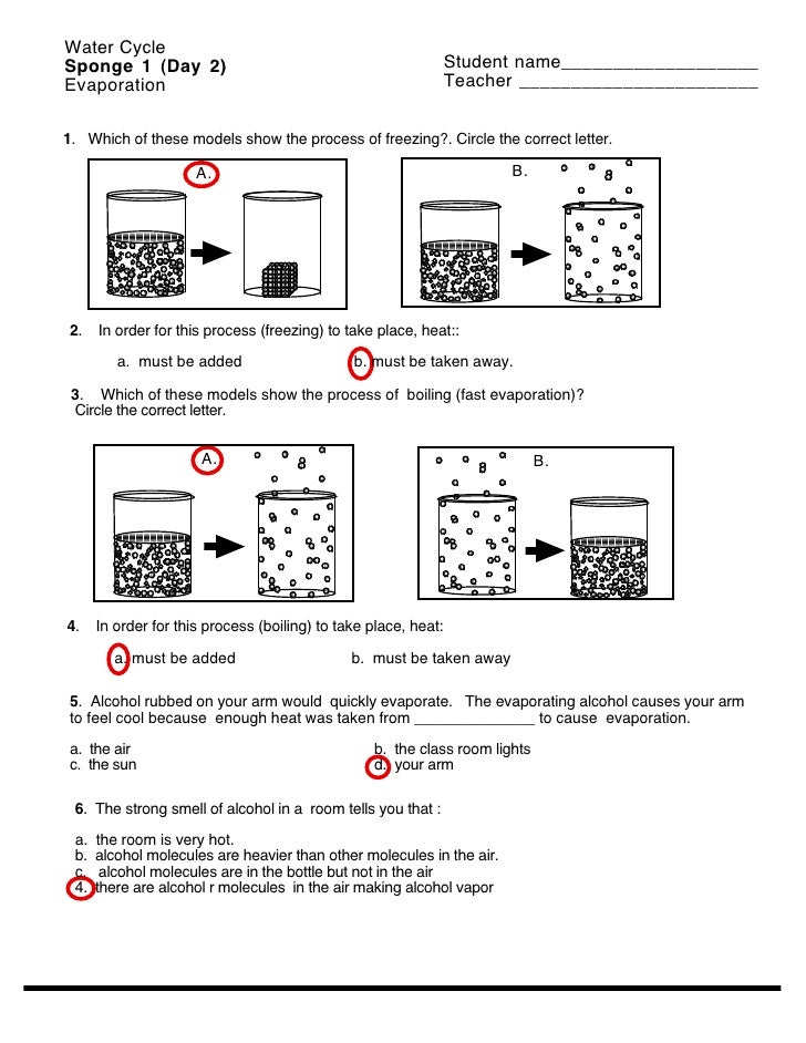 water-cycle-worksheet-s-answers