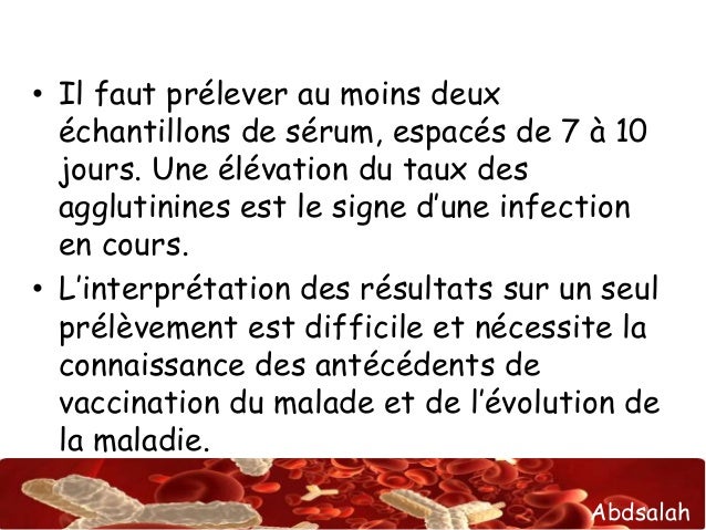 Ses la 11 analyse moussue sur la lamblia