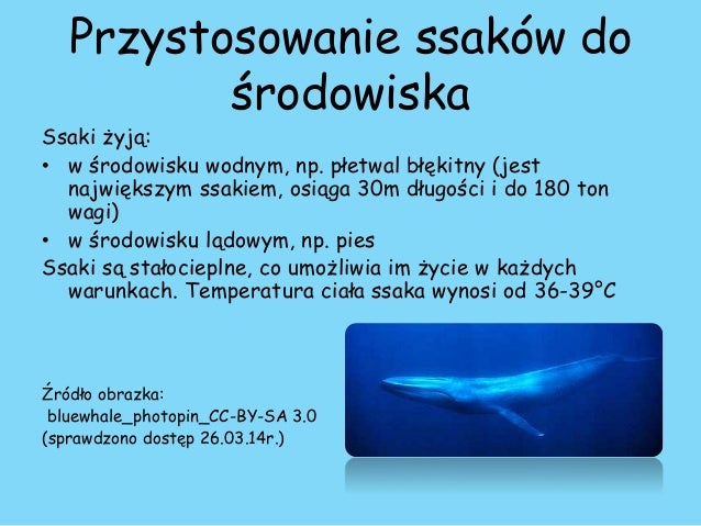 Ssaki