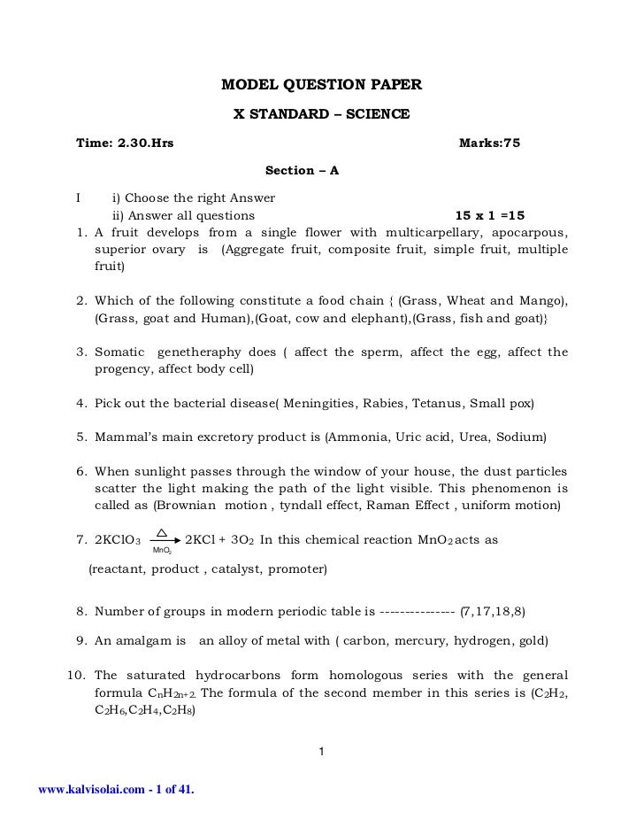 English model essays