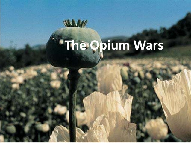 Opium war essay
