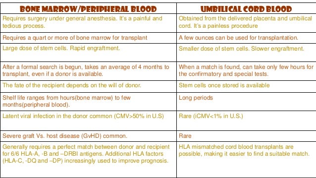 stem cell essay questions stem cell essay questions