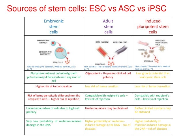 Embryonic Adult Stem Cells 29