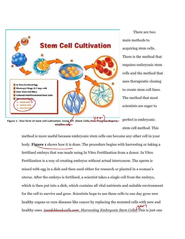 Sample research paper on stem cell research