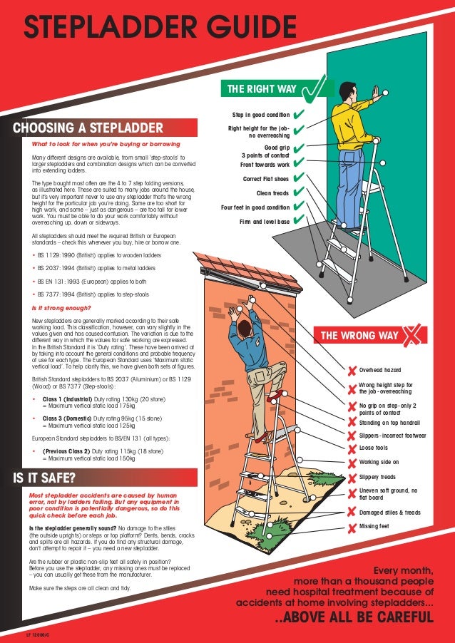 Stepladder guide