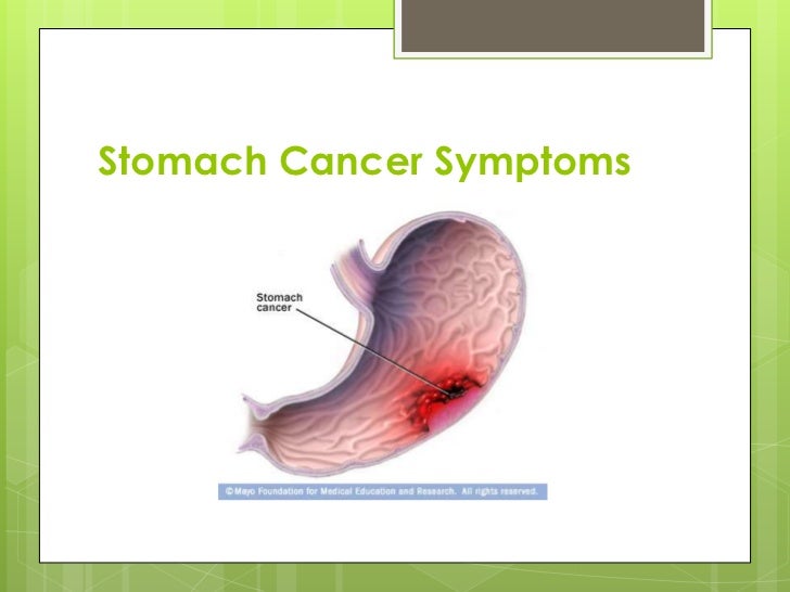 symptoms of stomach cancer in dogs stomach cancer symptoms symptoms of stomach cancer in dogs stomach cancer symptoms
