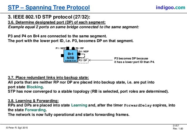 spanning designated port protocol tree