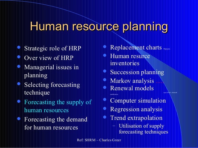 Human resource strategy essay