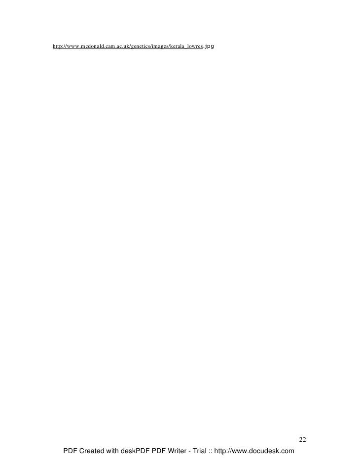 How long should a job application personal statement be