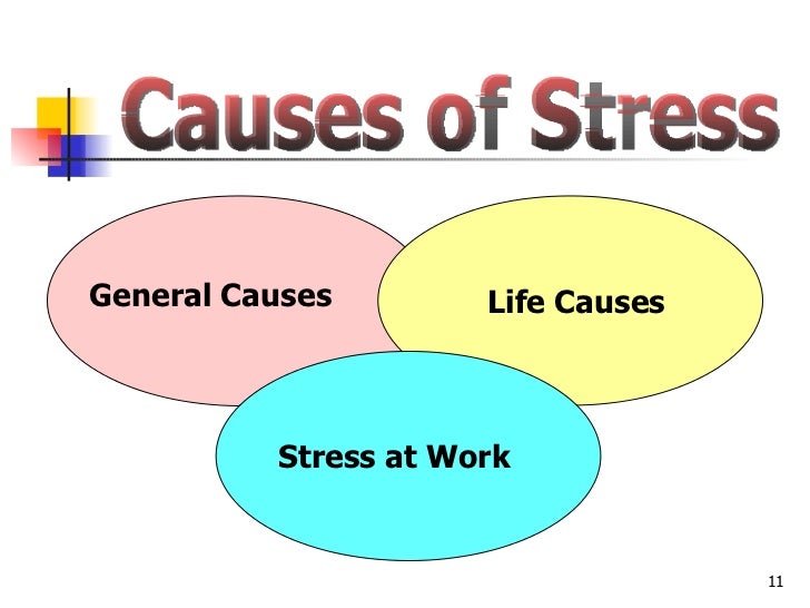 sources and outcomes of stress in The best sources are fatty fish humor is a great way to relieve stress in the workplace and effects of stress in general and on the job. sources and outcomes of stress in The best sources are fatty fish humor is a great way to relieve stress in the workplace and effects of stress in general and on the job.