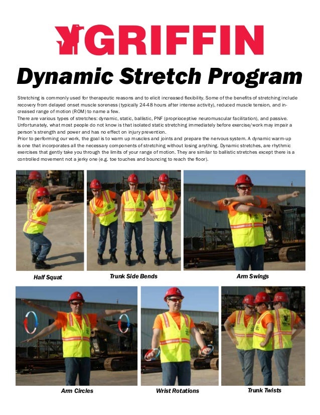 Dynamic Flexibility Program Chart