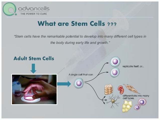 jobs for impact physical therapy physical remedy forum