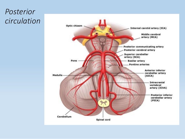 stroke remedy ideas occupational remedy