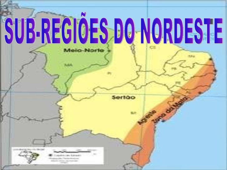 O Nordeste Apresenta 4 Sub Regioes Quais Sao Elas