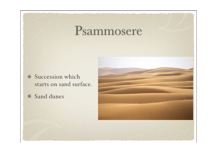 ecosystem succession essay ecosystem succession essay