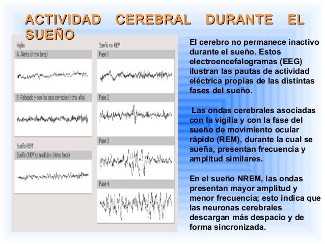 Sueño y vigilia