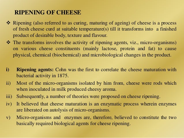 Cheese Making cheese-making