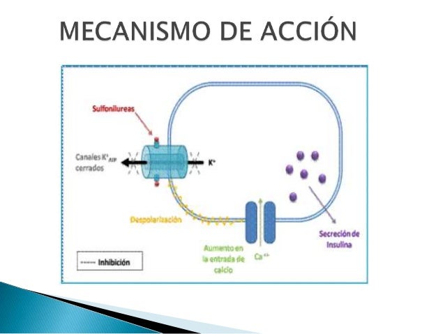 SULFONILUREAS SULFONILUREAS
