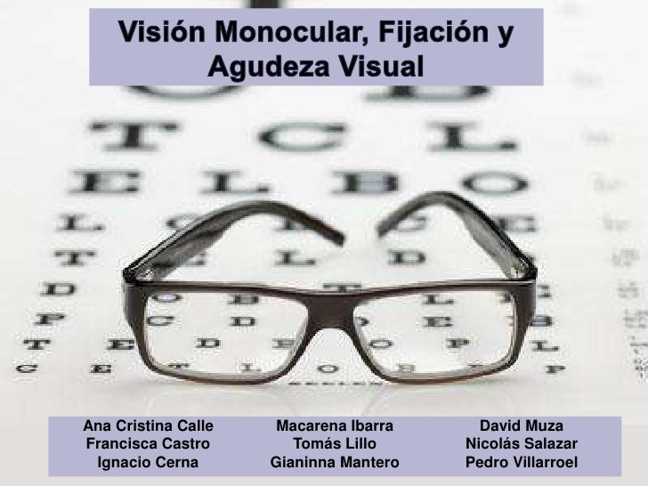 Vision monocular, desarrollo de la Agudeza Visual y Fijación