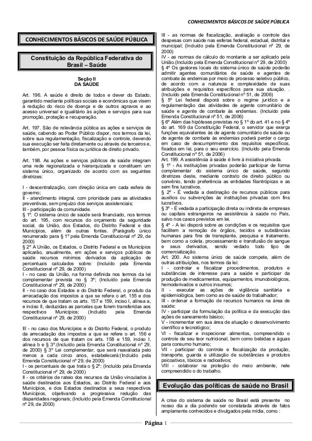 Monografia saude publica