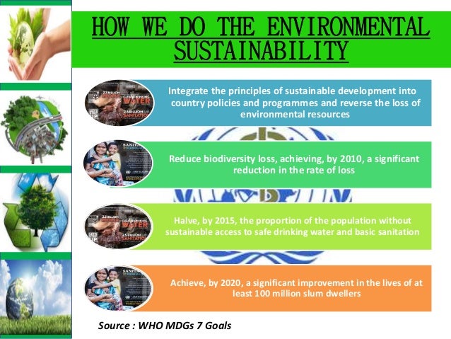 Essays on sustainable development