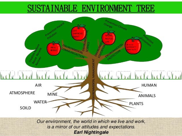 Sustainability Environment